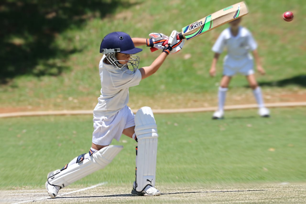 cricket-pitch